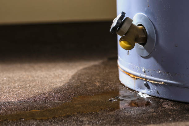 Best Water damage restoration near me  in Miramar Beach, FL