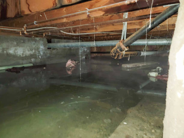 Best Ceiling water damage repair  in Miramar Beach, FL