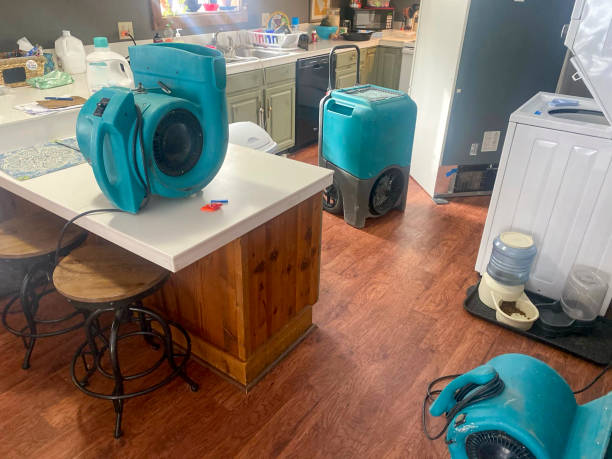 Best Local water damage restoration  in Miramar Beach, FL