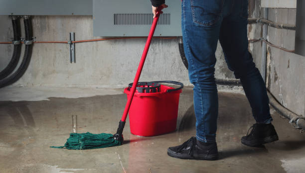 Best Sewage cleanup and water damage restoration  in Miramar Beach, FL