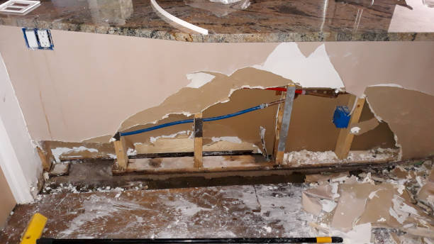 Best Flooded house restoration  in Miramar Beach, FL