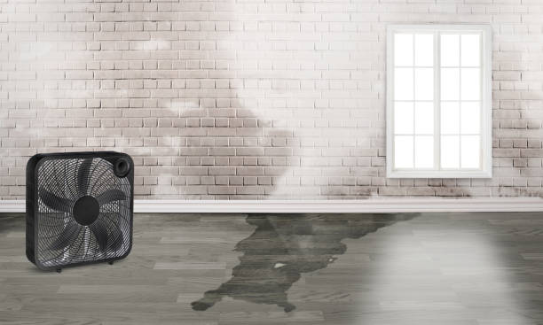 Best 24-hour water damage restoration  in Miramar Beach, FL