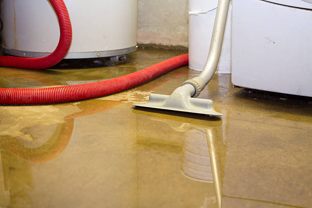 Best Ceiling water damage repair  in Miramar Beach, FL