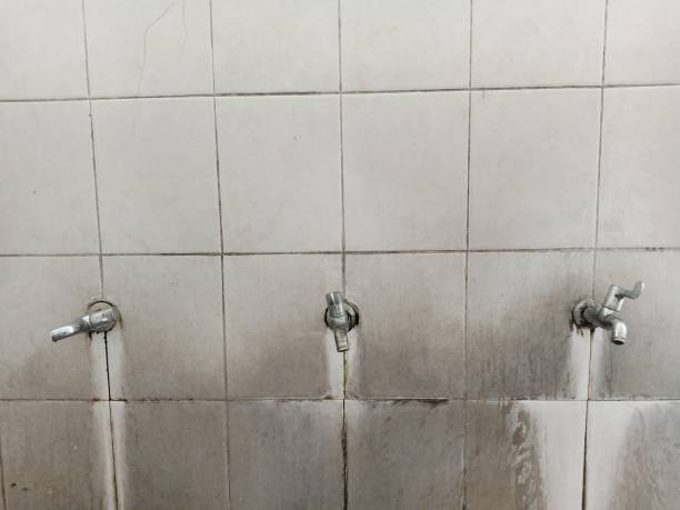 Best Flood restoration services  in Miramar Beach, FL