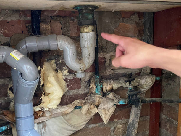 Best Mold removal after water damage  in Miramar Beach, FL