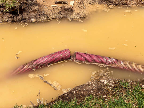  Miramar Beach, FL Water damage restoration Pros