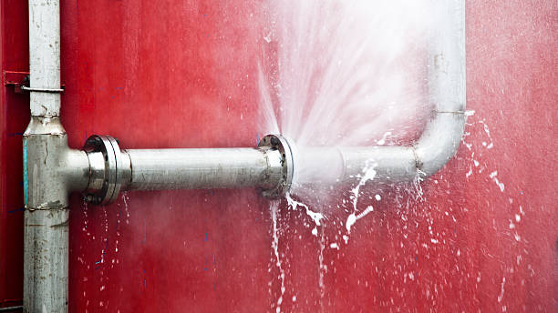 Best Professional water damage repair  in Miramar Beach, FL